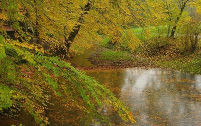 <i class='fa fa-user'></i>&nbsp;tonysettanta&nbsp;|  Landschap&nbsp; <i class='fa fa-eye'>&nbsp;130</i> &nbsp; <i class='fa fa-comment-o'>&nbsp;3</i>