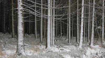 <i class='fa fa-user'></i>&nbsp;Paul Vandebroek&nbsp;|  De eerste sneeuw&nbsp; <i class='fa fa-eye'>&nbsp;158</i> &nbsp; <i class='fa fa-comment-o'>&nbsp;3</i>