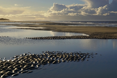 <i class='fa fa-user'></i>&nbsp;Nel R&nbsp;|  Strand, zee en wolken&nbsp; <i class='fa fa-eye'>&nbsp;225</i> &nbsp;<i class='fa fa-thumbs-up'>&nbsp;6</i> &nbsp; <i class='fa fa-comment-o'>&nbsp;9</i>
