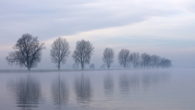 <i class='fa fa-user'></i>&nbsp;Schollevaer&nbsp;|  Bakenbomen  (Bergsche Maas)&nbsp; <i class='fa fa-eye'>&nbsp;236</i> &nbsp;<i class='fa fa-thumbs-up'>&nbsp;9</i> &nbsp; <i class='fa fa-comment-o'>&nbsp;16</i>