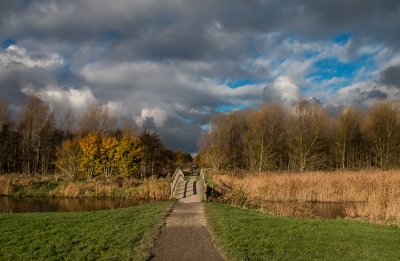 <i class='fa fa-user'></i>&nbsp;Rob wijn&nbsp;|  Landschap&nbsp; <i class='fa fa-eye'>&nbsp;133</i> &nbsp; <i class='fa fa-comment-o'>&nbsp;5</i>