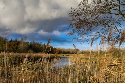 <i class='fa fa-user'></i>&nbsp;Rob wijn&nbsp;|  Landschap&nbsp; <i class='fa fa-eye'>&nbsp;140</i> &nbsp; <i class='fa fa-comment-o'>&nbsp;5</i>