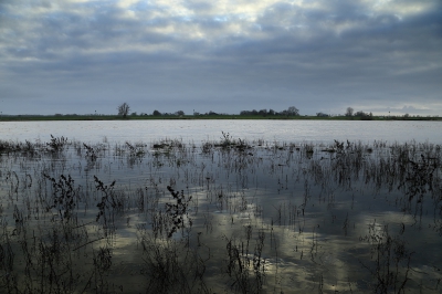<i class='fa fa-user'></i>&nbsp;Ben Aalders&nbsp;|  Gelderse IJssel langs de Vreugderijkewaard&nbsp; <i class='fa fa-eye'>&nbsp;146</i> &nbsp; <i class='fa fa-comment-o'>&nbsp;4</i>