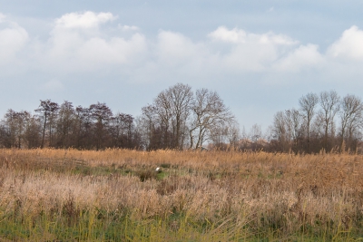 <i class='fa fa-user'></i>&nbsp;Rob wijn&nbsp;|  Landschap&nbsp; <i class='fa fa-eye'>&nbsp;120</i> &nbsp; <i class='fa fa-comment-o'>&nbsp;0</i>