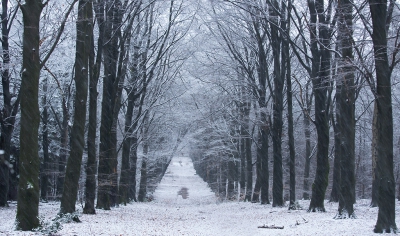 <i class='fa fa-user'></i>&nbsp;nelappelmelk&nbsp;|  De eerste sneeuw&nbsp; <i class='fa fa-eye'>&nbsp;263</i> &nbsp; <i class='fa fa-comment-o'>&nbsp;7</i>