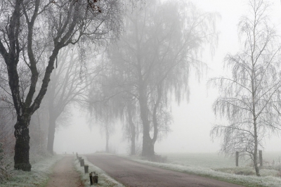 <i class='fa fa-user'></i>&nbsp;boerke&nbsp;|  Mist en rijp&nbsp; <i class='fa fa-eye'>&nbsp;167</i> &nbsp;<i class='fa fa-thumbs-up'>&nbsp;2</i> &nbsp; <i class='fa fa-comment-o'>&nbsp;4</i>