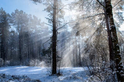 <i class='fa fa-user'></i>&nbsp;ep&nbsp;|  Windvlaag&nbsp; <i class='fa fa-eye'>&nbsp;284</i> &nbsp;<i class='fa fa-thumbs-up'>&nbsp;3</i> &nbsp; <i class='fa fa-comment-o'>&nbsp;3</i>