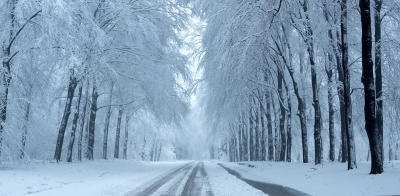 <i class='fa fa-user'></i>&nbsp;nelappelmelk&nbsp;|  Veel sneeuw op de takken&nbsp; <i class='fa fa-eye'>&nbsp;268</i> &nbsp;<i class='fa fa-thumbs-up'>&nbsp;5</i> &nbsp; <i class='fa fa-comment-o'>&nbsp;8</i>