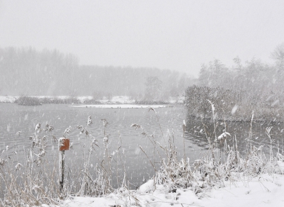 <i class='fa fa-user'></i>&nbsp;ko katsman&nbsp;|  Sneeuwbui&nbsp; <i class='fa fa-eye'>&nbsp;237</i> &nbsp;<i class='fa fa-thumbs-up'>&nbsp;1</i> &nbsp; <i class='fa fa-comment-o'>&nbsp;3</i>