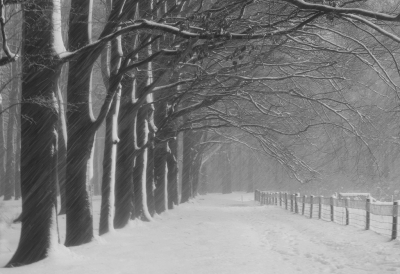 <i class='fa fa-user'></i>&nbsp;Nel R&nbsp;|  Sneeuwstorm&nbsp; <i class='fa fa-eye'>&nbsp;168</i> &nbsp;<i class='fa fa-thumbs-up'>&nbsp;8</i> &nbsp; <i class='fa fa-comment-o'>&nbsp;8</i>