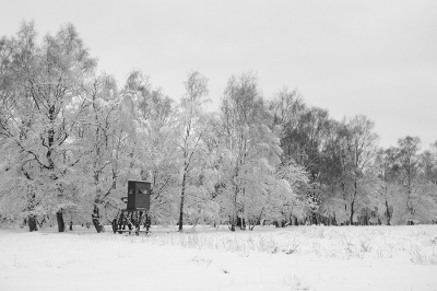 <i class='fa fa-user'></i>&nbsp;koekieman&nbsp;|  Sneeuwlandschap&nbsp; <i class='fa fa-eye'>&nbsp;181</i> &nbsp; <i class='fa fa-comment-o'>&nbsp;1</i>