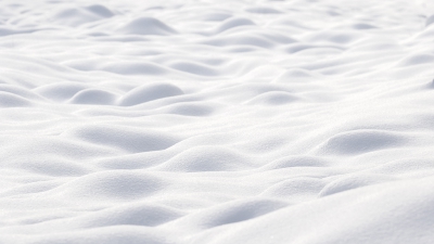 In vergelijk met andere delen van het land is er op sommige delen van de Veluwe erg veel sneeuw gevallen. Af en toe zakte ik er tenminste 30 centimeter in weg. 
Mooi om te zien hoe een landschap hierdoor veranderd.
Tijdens het zoeken naar mooie vormen neuriede ik een liedje uit mijn jeugd; 'als het gras twee kontjes hoog is'