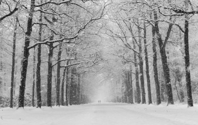 <i class='fa fa-user'></i>&nbsp;rvandijkzl&nbsp;|  Winterlaan&nbsp; <i class='fa fa-eye'>&nbsp;222</i> &nbsp;<i class='fa fa-thumbs-up'>&nbsp;2</i> &nbsp; <i class='fa fa-comment-o'>&nbsp;5</i>