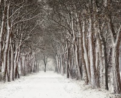<i class='fa fa-user'></i>&nbsp;NelTalen&nbsp;|  Winterlandschap&nbsp; <i class='fa fa-eye'>&nbsp;170</i> &nbsp;<i class='fa fa-thumbs-up'>&nbsp;5</i> &nbsp; <i class='fa fa-comment-o'>&nbsp;6</i>
