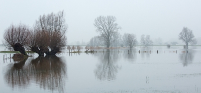 <i class='fa fa-user'></i>&nbsp;nelappelmelk&nbsp;|  Hoog water&nbsp; <i class='fa fa-eye'>&nbsp;247</i> &nbsp;<i class='fa fa-thumbs-up'>&nbsp;8</i> &nbsp; <i class='fa fa-comment-o'>&nbsp;10</i>