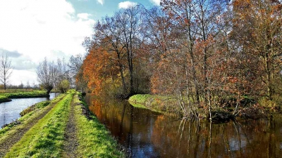 <i class='fa fa-user'></i>&nbsp;kooyammers&nbsp;|  Herfst langs de Groene Kerkweg&nbsp; <i class='fa fa-eye'>&nbsp;149</i> &nbsp; <i class='fa fa-comment-o'>&nbsp;2</i>