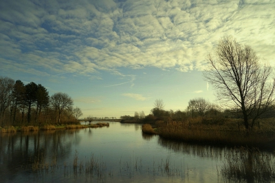 <i class='fa fa-user'></i>&nbsp;Nel R&nbsp;|  Landschap met water&nbsp; <i class='fa fa-eye'>&nbsp;141</i> &nbsp;<i class='fa fa-thumbs-up'>&nbsp;5</i> &nbsp; <i class='fa fa-comment-o'>&nbsp;6</i>