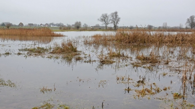 <i class='fa fa-user'></i>&nbsp;kooyammers&nbsp;|  Heel veel 'Boven'water&nbsp; <i class='fa fa-eye'>&nbsp;112</i> &nbsp; <i class='fa fa-comment-o'>&nbsp;0</i>
