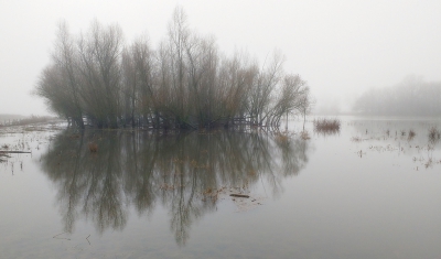 <i class='fa fa-user'></i>&nbsp;Ben Aalders&nbsp;|  Mist 1&nbsp; <i class='fa fa-eye'>&nbsp;111</i> &nbsp; <i class='fa fa-comment-o'>&nbsp;5</i>