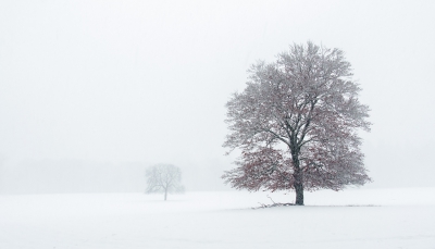 <i class='fa fa-user'></i>&nbsp;rvandijkzl&nbsp;|  Sneeuwvlakte&nbsp; <i class='fa fa-eye'>&nbsp;182</i> &nbsp;<i class='fa fa-thumbs-up'>&nbsp;11</i> &nbsp; <i class='fa fa-comment-o'>&nbsp;8</i>
