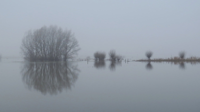 <i class='fa fa-user'></i>&nbsp;sieb&nbsp;|  Ijssellandschap, mist en hoog water&nbsp; <i class='fa fa-eye'>&nbsp;188</i> &nbsp;<i class='fa fa-thumbs-up'>&nbsp;7</i> &nbsp; <i class='fa fa-comment-o'>&nbsp;6</i>