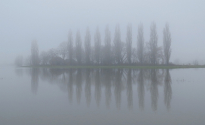 <i class='fa fa-user'></i>&nbsp;sieb&nbsp;|  Ijssellandschap, mist en hoog water&nbsp; <i class='fa fa-eye'>&nbsp;185</i> &nbsp;<i class='fa fa-thumbs-up'>&nbsp;1</i> &nbsp; <i class='fa fa-comment-o'>&nbsp;4</i>