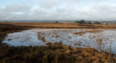 <i class='fa fa-user'></i>&nbsp;nelappelmelk&nbsp;|  Beetje zon in het landschap&nbsp; <i class='fa fa-eye'>&nbsp;123</i> &nbsp; <i class='fa fa-comment-o'>&nbsp;2</i>