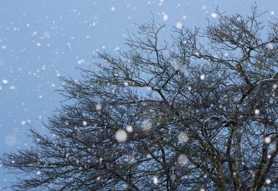 <i class='fa fa-user'></i>&nbsp;nelappelmelk&nbsp;|  Sneeuwvlokjes&nbsp; <i class='fa fa-eye'>&nbsp;148</i> &nbsp; <i class='fa fa-comment-o'>&nbsp;5</i>