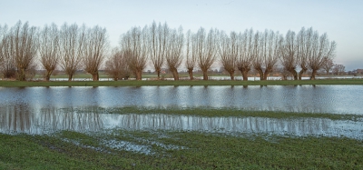 <i class='fa fa-user'></i>&nbsp;nelappelmelk&nbsp;|  Wilgen in het water&nbsp; <i class='fa fa-eye'>&nbsp;156</i> &nbsp; <i class='fa fa-comment-o'>&nbsp;2</i>