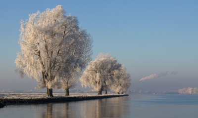 <i class='fa fa-user'></i>&nbsp;Schollevaer&nbsp;|  Winter landschap&nbsp; <i class='fa fa-eye'>&nbsp;212</i> &nbsp;<i class='fa fa-thumbs-up'>&nbsp;9</i> &nbsp; <i class='fa fa-comment-o'>&nbsp;8</i>