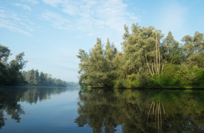 <i class='fa fa-user'></i>&nbsp;Schollevaer&nbsp;|  Brabantse Biesbosch (Den Bevert)&nbsp; <i class='fa fa-eye'>&nbsp;147</i> &nbsp;<i class='fa fa-thumbs-up'>&nbsp;5</i> &nbsp; <i class='fa fa-comment-o'>&nbsp;8</i>