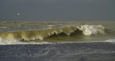 <i class='fa fa-user'></i>&nbsp;Nel R&nbsp;|  Eerste storm van 2018&nbsp; <i class='fa fa-eye'>&nbsp;200</i> &nbsp;<i class='fa fa-thumbs-up'>&nbsp;4</i> &nbsp; <i class='fa fa-comment-o'>&nbsp;5</i>