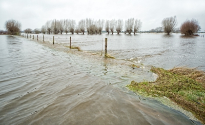 <i class='fa fa-user'></i>&nbsp;nelappelmelk&nbsp;|  Hoog water&nbsp; <i class='fa fa-eye'>&nbsp;199</i> &nbsp; <i class='fa fa-comment-o'>&nbsp;5</i>