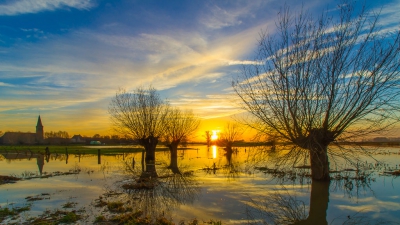 <i class='fa fa-user'></i>&nbsp;Van de Velde Frank&nbsp;|  Zonsondergang in Noordschote&nbsp; <i class='fa fa-eye'>&nbsp;244</i> &nbsp;<i class='fa fa-thumbs-up'>&nbsp;1</i> &nbsp; <i class='fa fa-comment-o'>&nbsp;5</i>