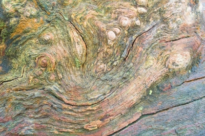 <i class='fa fa-user'></i>&nbsp;Bert Veerman&nbsp;|  Waves and colours&nbsp; <i class='fa fa-eye'>&nbsp;193</i> &nbsp; <i class='fa fa-comment-o'>&nbsp;5</i>