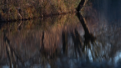 <i class='fa fa-user'></i>&nbsp;advanduren&nbsp;|  Brandend water&nbsp; <i class='fa fa-eye'>&nbsp;208</i> &nbsp; <i class='fa fa-comment-o'>&nbsp;4</i>