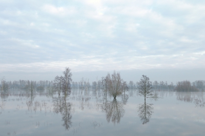 <i class='fa fa-user'></i>&nbsp;Hendrik van Kampen&nbsp;|  IJssel&nbsp; <i class='fa fa-eye'>&nbsp;209</i> &nbsp;<i class='fa fa-thumbs-up'>&nbsp;14</i> &nbsp; <i class='fa fa-comment-o'>&nbsp;9</i>