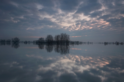 <i class='fa fa-user'></i>&nbsp;thijsglastra&nbsp;|  Uiterwaarden Rijn&nbsp; <i class='fa fa-eye'>&nbsp;217</i> &nbsp;<i class='fa fa-thumbs-up'>&nbsp;14</i> &nbsp; <i class='fa fa-comment-o'>&nbsp;8</i>