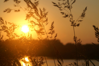 Prachtige zonsondergang bij het quackjeswater getuigd van een zonnige warme dag.