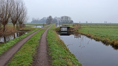 <i class='fa fa-user'></i>&nbsp;kooyammers&nbsp;|  Graafkade Berkenwoude&nbsp; <i class='fa fa-eye'>&nbsp;153</i> &nbsp; <i class='fa fa-comment-o'>&nbsp;5</i>