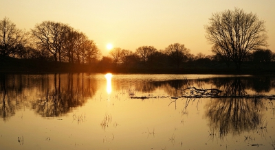 <i class='fa fa-user'></i>&nbsp;Nel R&nbsp;|  Zonsondergang&nbsp; <i class='fa fa-eye'>&nbsp;162</i> &nbsp;<i class='fa fa-thumbs-up'>&nbsp;1</i> &nbsp; <i class='fa fa-comment-o'>&nbsp;2</i>