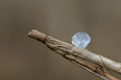 <i class='fa fa-user'></i>&nbsp;Bemaliri&nbsp;|  Diamanten in de duinen!!&nbsp; <i class='fa fa-eye'>&nbsp;228</i> &nbsp; <i class='fa fa-comment-o'>&nbsp;4</i>