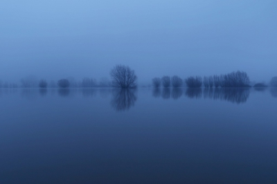 <i class='fa fa-user'></i>&nbsp;natuur(a)art&nbsp;|  Knotwilgen met natte voeten&nbsp; <i class='fa fa-eye'>&nbsp;138</i> &nbsp;<i class='fa fa-thumbs-up'>&nbsp;1</i> &nbsp; <i class='fa fa-comment-o'>&nbsp;2</i>