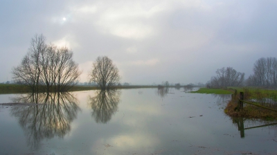 <i class='fa fa-user'></i>&nbsp;Bert Veerman&nbsp;|  Hoogwater 2018&nbsp; <i class='fa fa-eye'>&nbsp;176</i> &nbsp;<i class='fa fa-thumbs-up'>&nbsp;3</i> &nbsp; <i class='fa fa-comment-o'>&nbsp;4</i>
