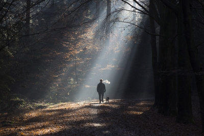 <i class='fa fa-user'></i>&nbsp;Bharmsen&nbsp;|  Winter wandeling&nbsp; <i class='fa fa-eye'>&nbsp;214</i> &nbsp;<i class='fa fa-thumbs-up'>&nbsp;2</i> &nbsp; <i class='fa fa-comment-o'>&nbsp;4</i>