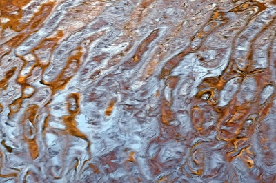 <i class='fa fa-user'></i>&nbsp;kooyammers&nbsp;|  Spiegeling in Water&nbsp; <i class='fa fa-eye'>&nbsp;169</i> &nbsp;<i class='fa fa-thumbs-up'>&nbsp;1</i> &nbsp; <i class='fa fa-comment-o'>&nbsp;1</i>