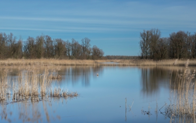 <i class='fa fa-user'></i>&nbsp;ep&nbsp;|  Oostvaardersplassen&nbsp; <i class='fa fa-eye'>&nbsp;159</i> &nbsp; <i class='fa fa-comment-o'>&nbsp;0</i>
