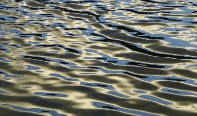<i class='fa fa-user'></i>&nbsp;Nel R&nbsp;|  Rimpeling in het water&nbsp; <i class='fa fa-eye'>&nbsp;118</i> &nbsp;<i class='fa fa-thumbs-up'>&nbsp;2</i> &nbsp; <i class='fa fa-comment-o'>&nbsp;3</i>