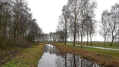 <i class='fa fa-user'></i>&nbsp;kooyammers&nbsp;|  Doorkijkje Loetbos richting Berkenwoude&nbsp; <i class='fa fa-eye'>&nbsp;112</i> &nbsp; <i class='fa fa-comment-o'>&nbsp;0</i>