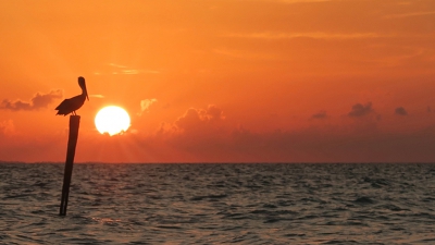 <i class='fa fa-user'></i>&nbsp;daan de vos&nbsp;|  Winter in Mexico&nbsp; <i class='fa fa-eye'>&nbsp;157</i> &nbsp; <i class='fa fa-comment-o'>&nbsp;1</i>